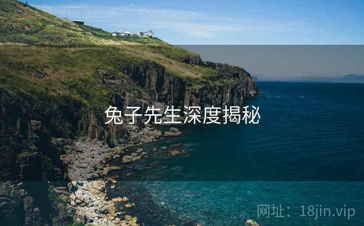 兔子先生深度揭秘  第2张