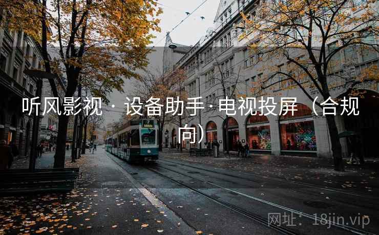 听风影视 · 设备助手·电视投屏（合规向）