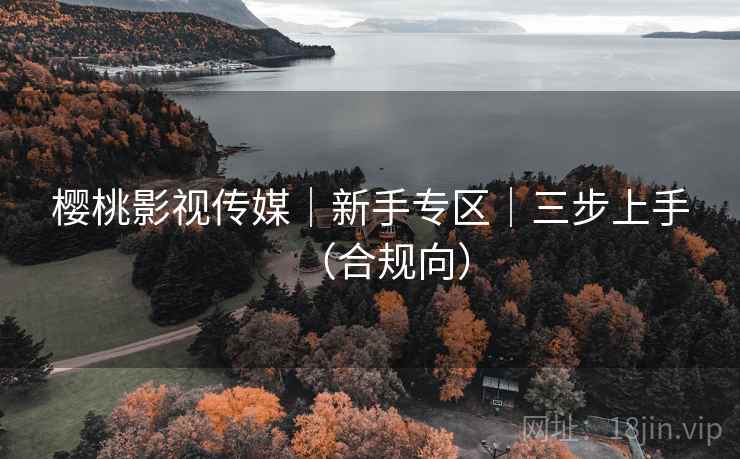 樱桃影视传媒｜新手专区｜三步上手（合规向）