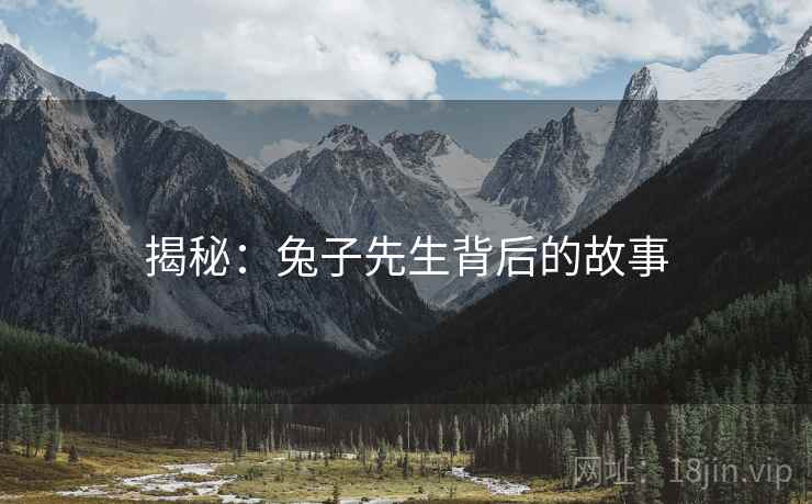 揭秘：兔子先生背后的故事