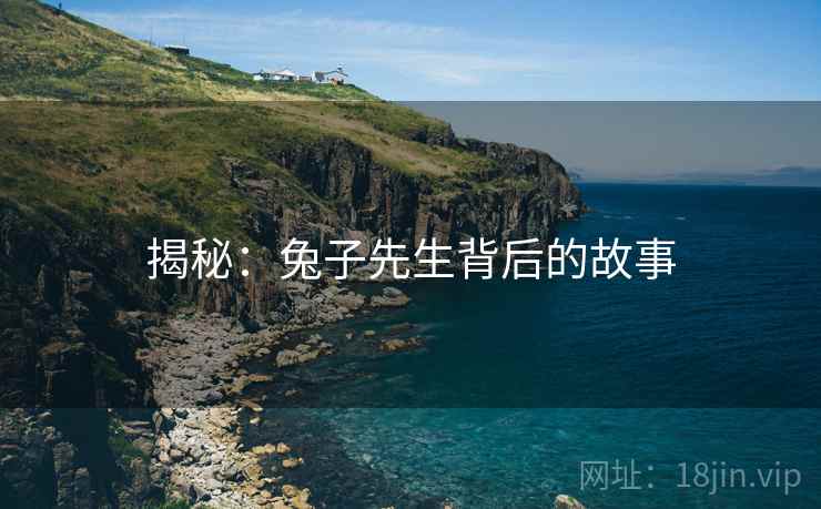揭秘：兔子先生背后的故事