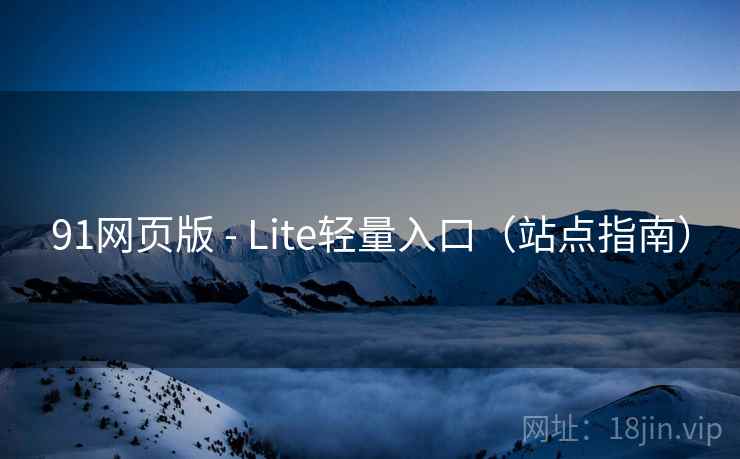 91网页版 - Lite轻量入口(站点指南)