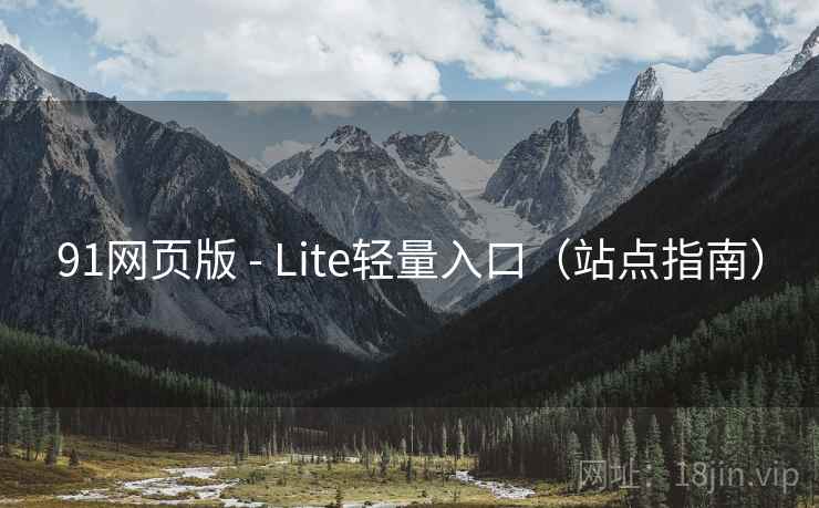 91网页版 - Lite轻量入口(站点指南)
