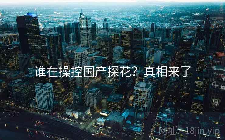 谁在操控国产探花?真相来了