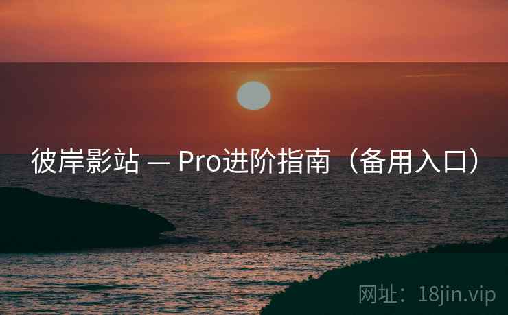 彼岸影站 — Pro进阶指南(备用入口)