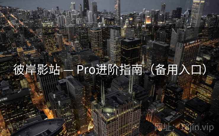 彼岸影站 — Pro进阶指南(备用入口)