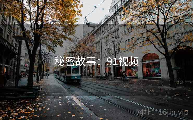秘密故事:91视频