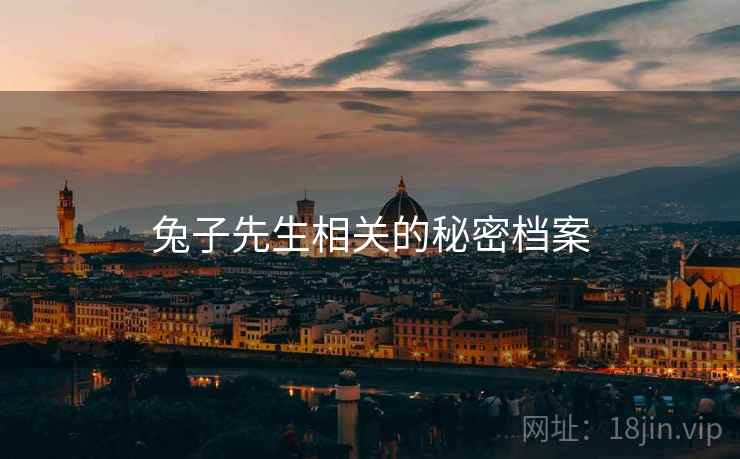 兔子先生相关的秘密档案