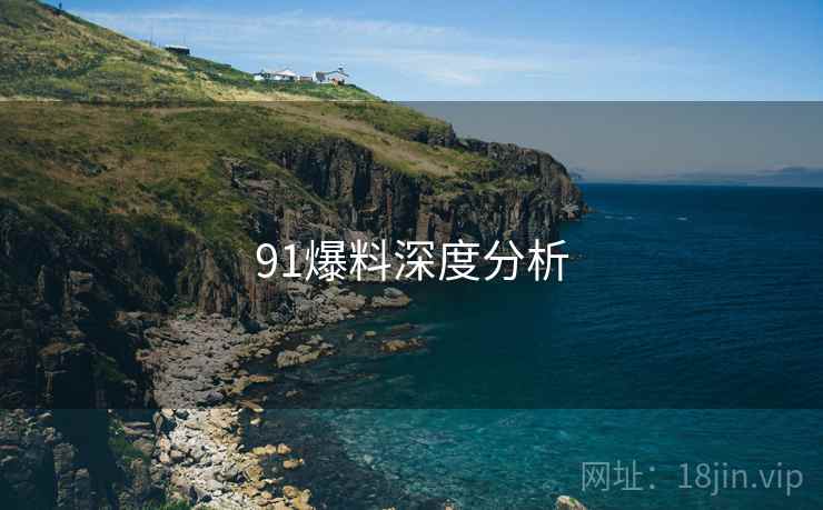 91爆料深度分析