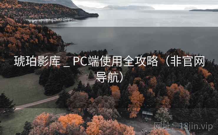 琥珀影库 _ PC端使用全攻略(非官网导航)