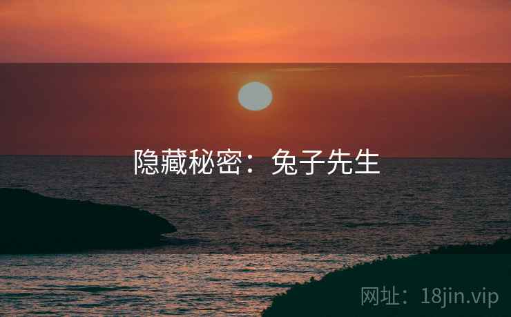 隐藏秘密:兔子先生