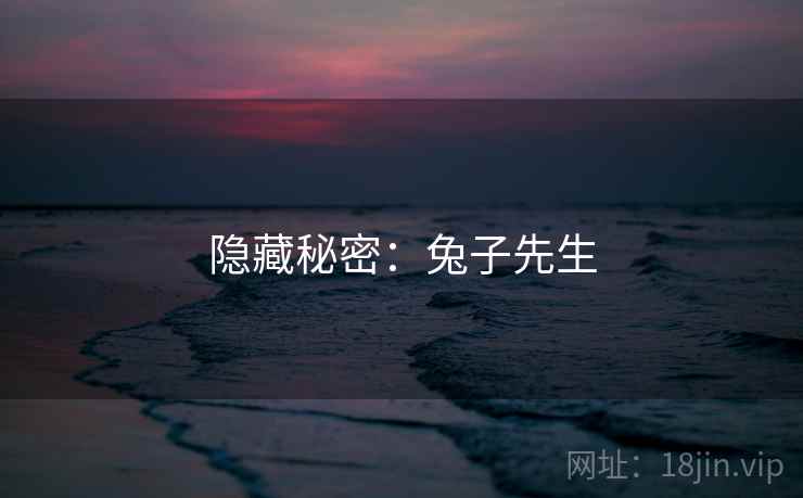 隐藏秘密:兔子先生