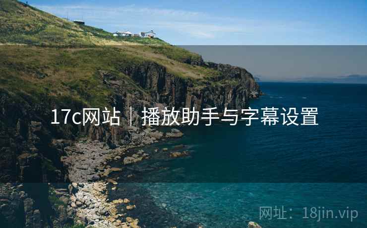 17c网站|播放助手与字幕设置